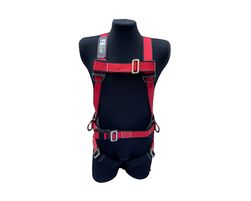 Arnes EQS Basic 3D con Respaldo Lumbar