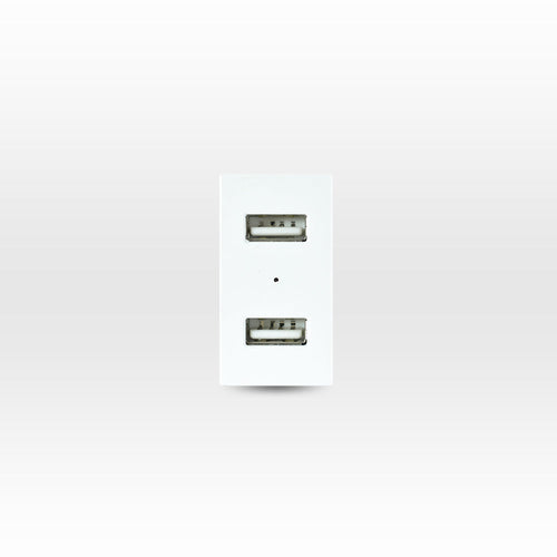 MÓDULO TOMA USB 5V C.C. 1100MA BLANCO