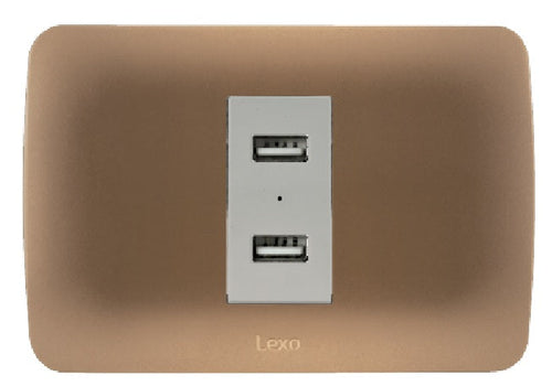 Toma USB 5V C.C. 2.4A beige/titanio armado