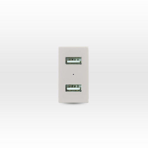 MÓDULO TOMA USB 5V C.C. 1100MA BEIGE