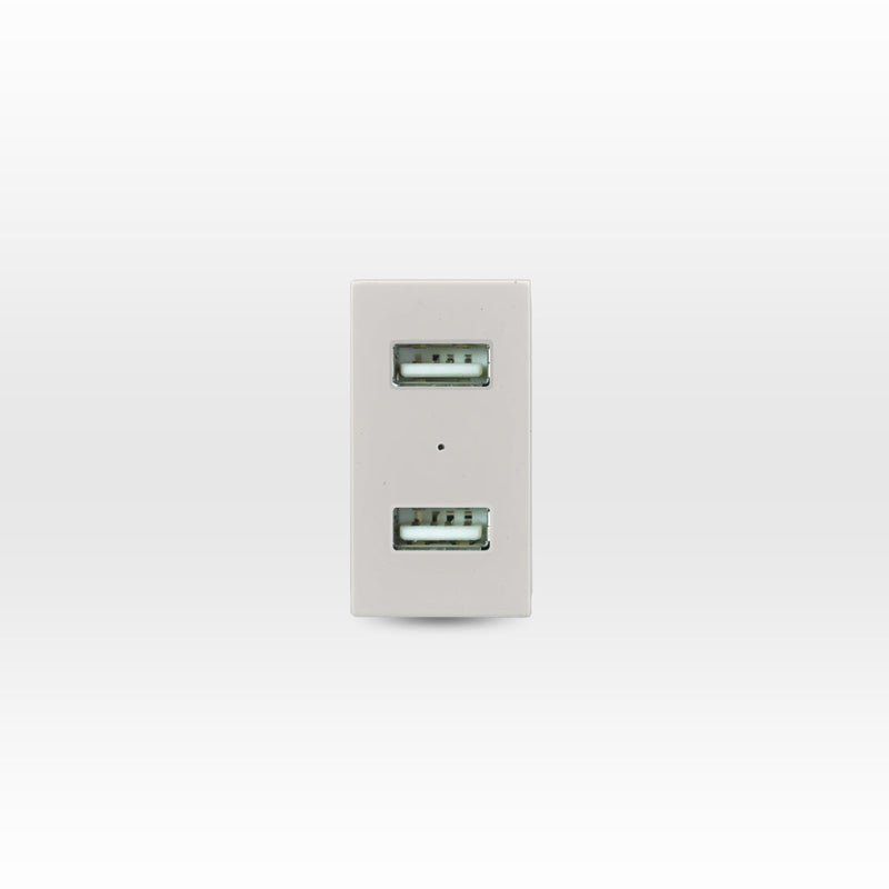 MÓDULO TOMA USB 5V C.C. 1100MA BEIGE