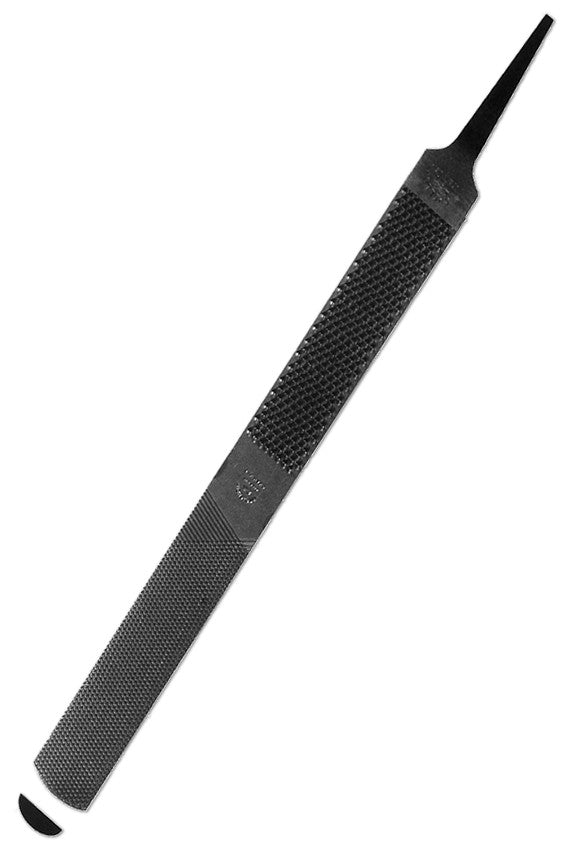 ESCOFINA ERIZO REDONDA BASTARDA 10"