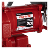 Bomba 220 v.caudal 18 gpm. c/medidor (fr701vgl) - FILL