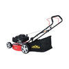 CORTADORA de CESPED 5HP con recogedor HG51PH-V200-