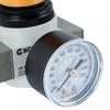 REGULADOR DE 1/4" 0-16bar XOR-MINI1/4"